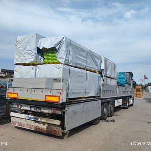 Beton Kalıp Sistemleri